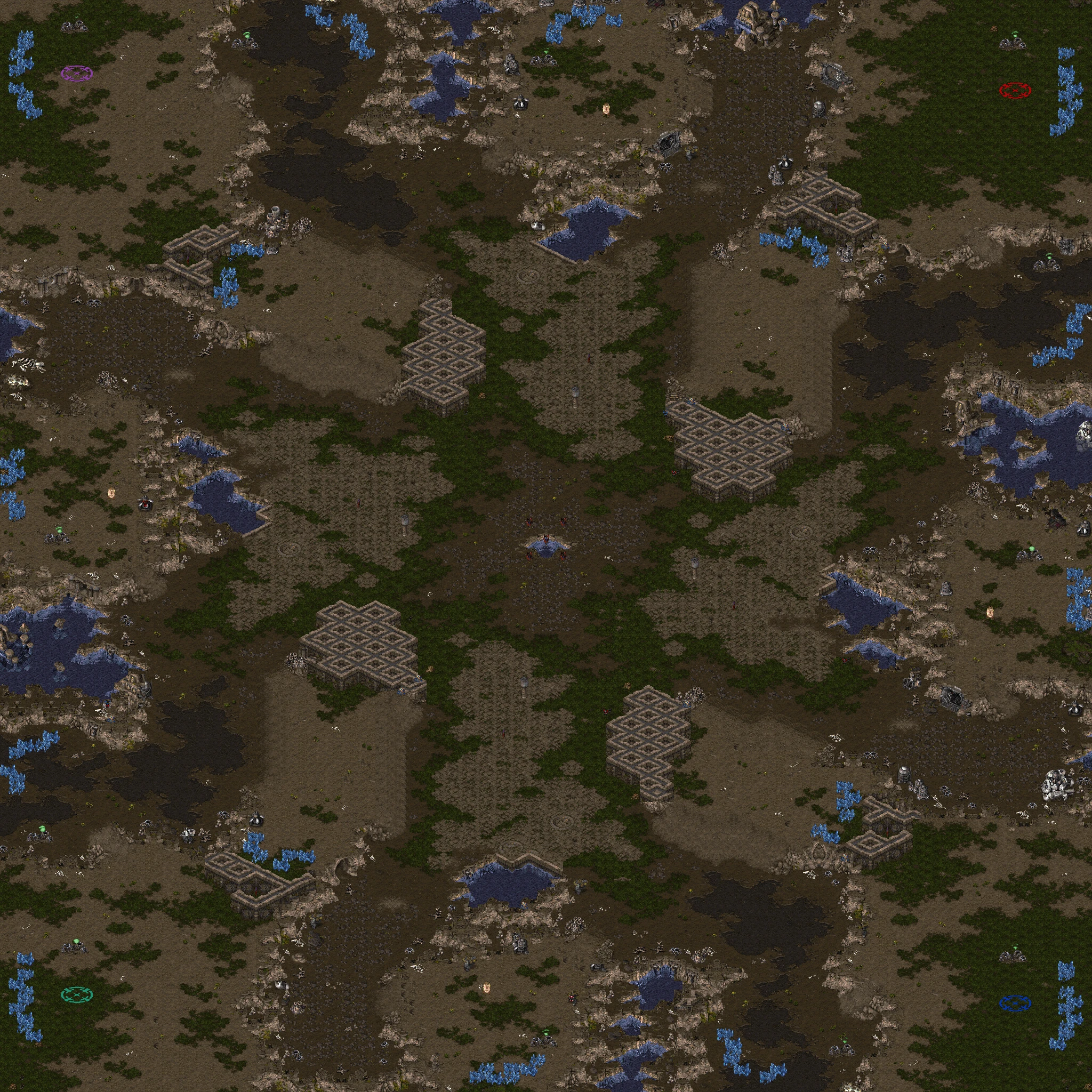 (4)Polypoid_1.10.scx