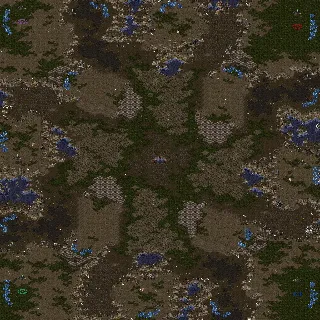 (4)Polypoid_1.10.scx
